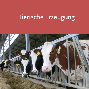 LEL-Maps - Tierische Erzeugung